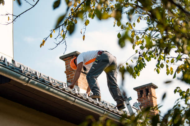 Best Roof Gutter Cleaning  in Angustura, NM